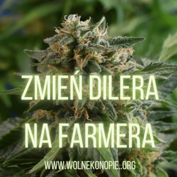 Zestaw wlepek "Farmer" - obrazek 3