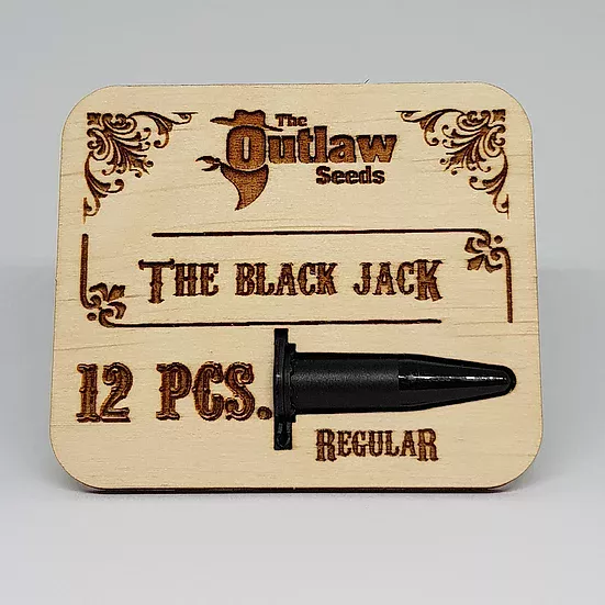 The Black Jack the outlaw seeds nasiona konopi niefeminizowane