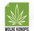 wolne konopie
